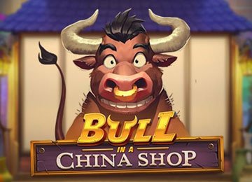 Bull In A China Shop